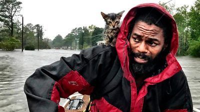 Image for story: Hurricane turned Tropical Storm Florence besieges Carolinas