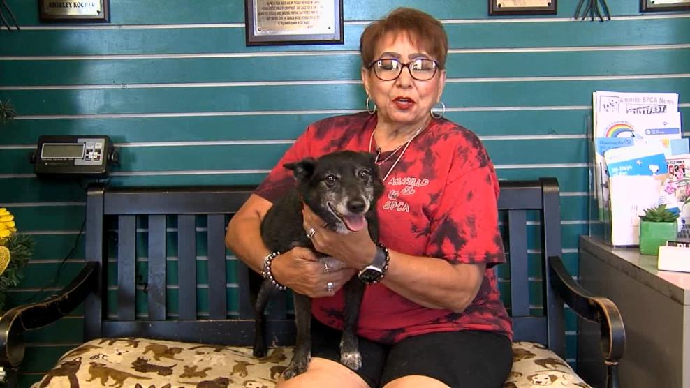 Image for story: Pet of the Week: Taz