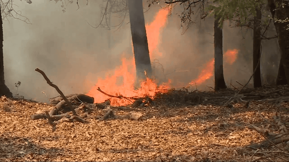 {p}Governor Greg Abbott announced Sunday Texas is deploying firefighters, fire engines, and more to assist in battling the wildfires ravaging parts of northern California. (Photo: CBS Austin file image){/p}